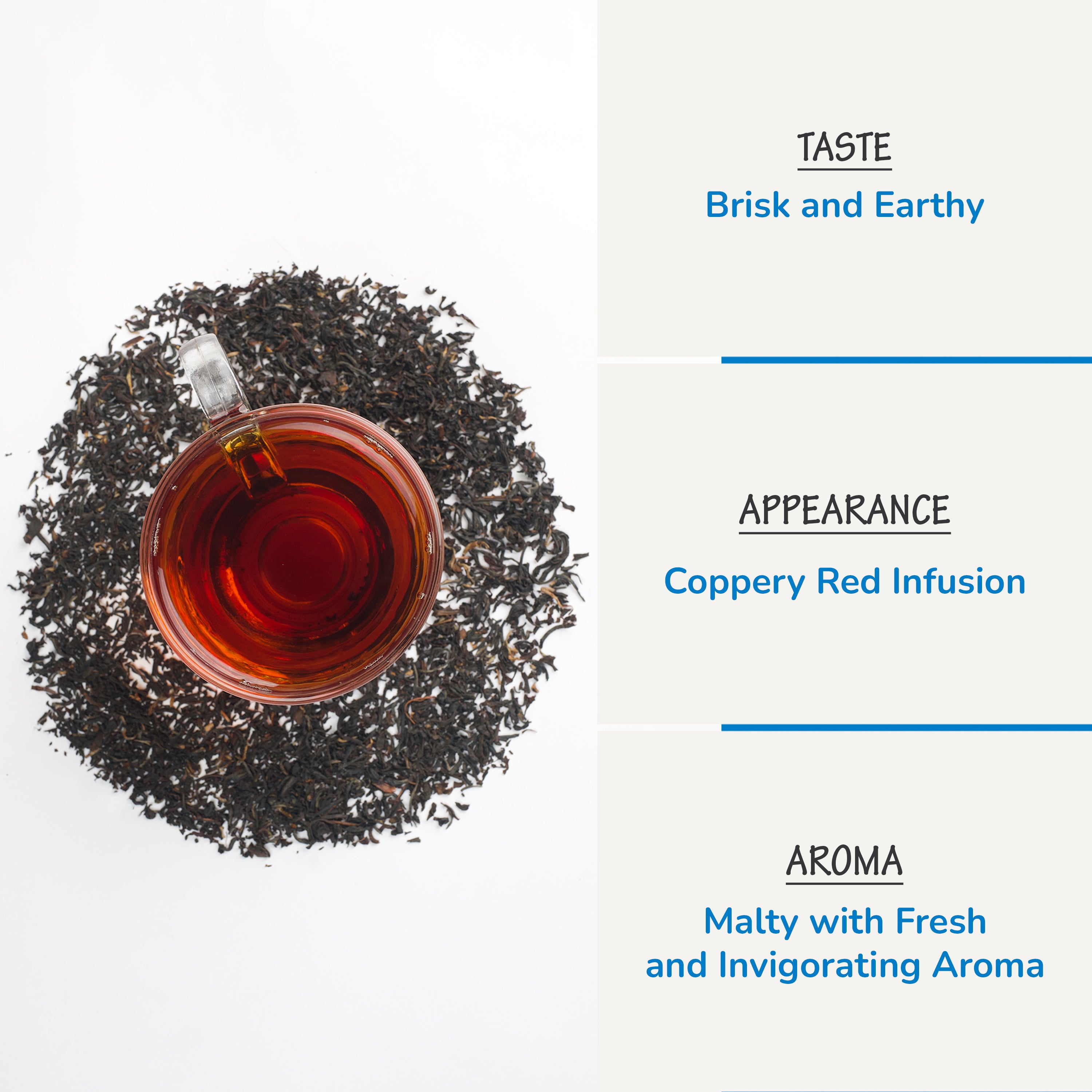 assam tea black rich and bold malty cup