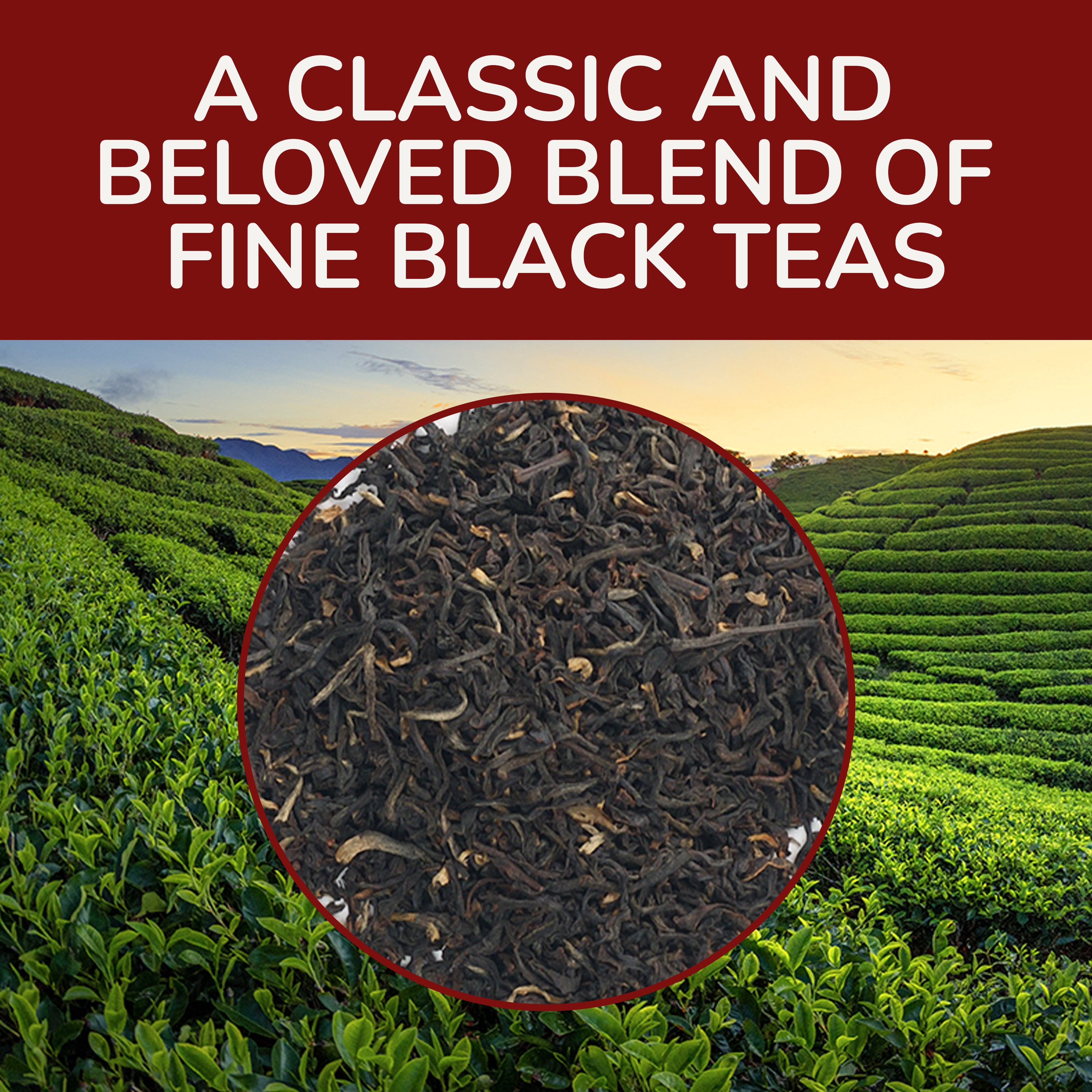 English Breakfast Black Tea, 3.53 oz Loose Tea