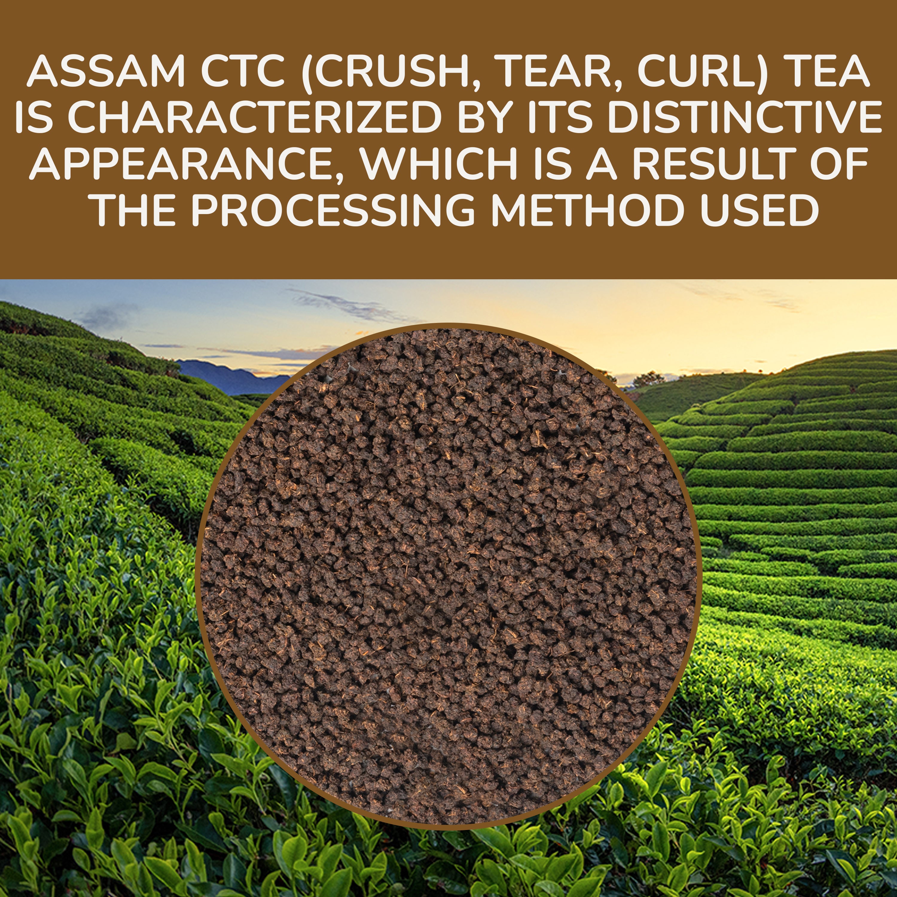 CTC Chai Tea, 8.82 oz Loose Tea