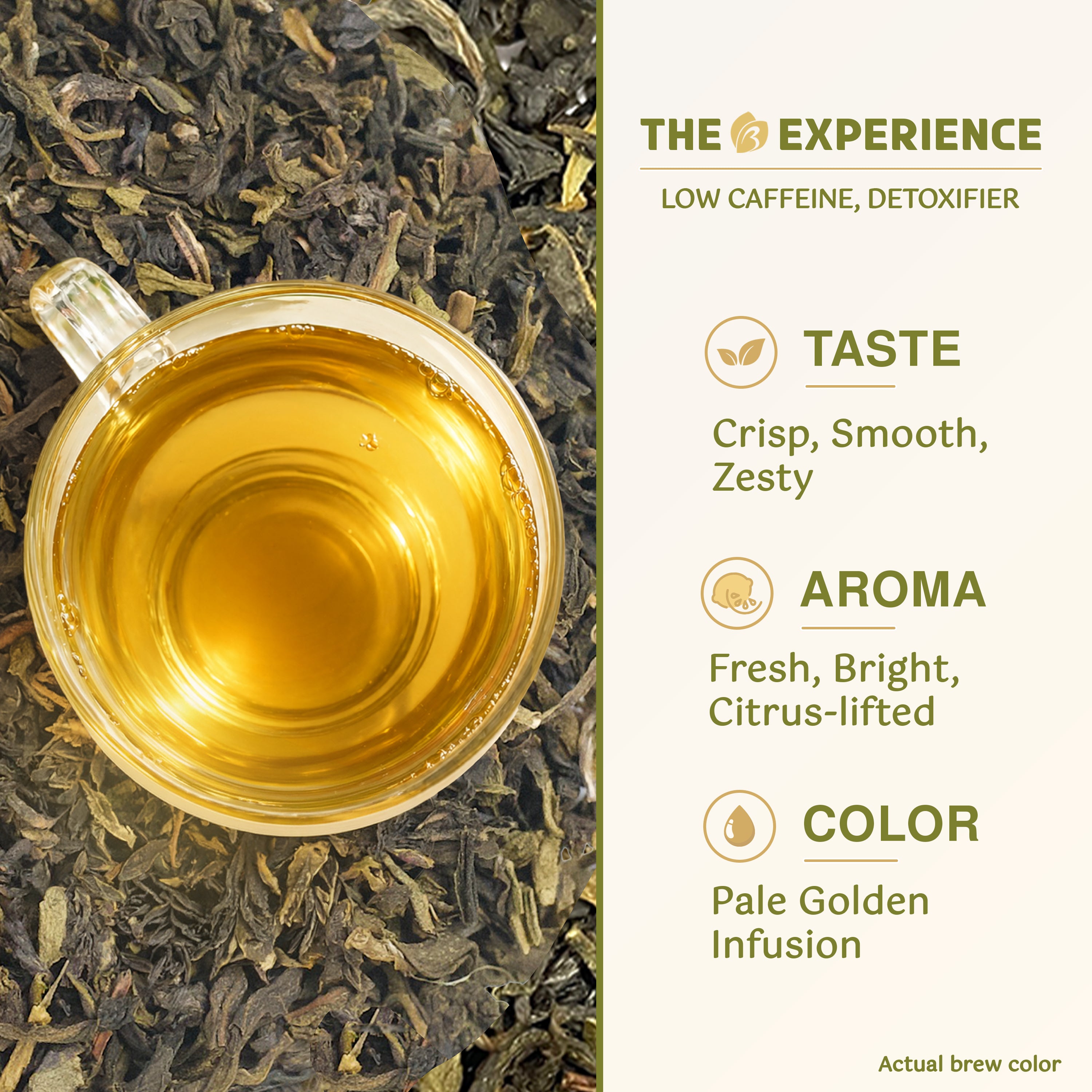 Bergamot Green Tea | A Bright, Uplifting Pause In Your Day