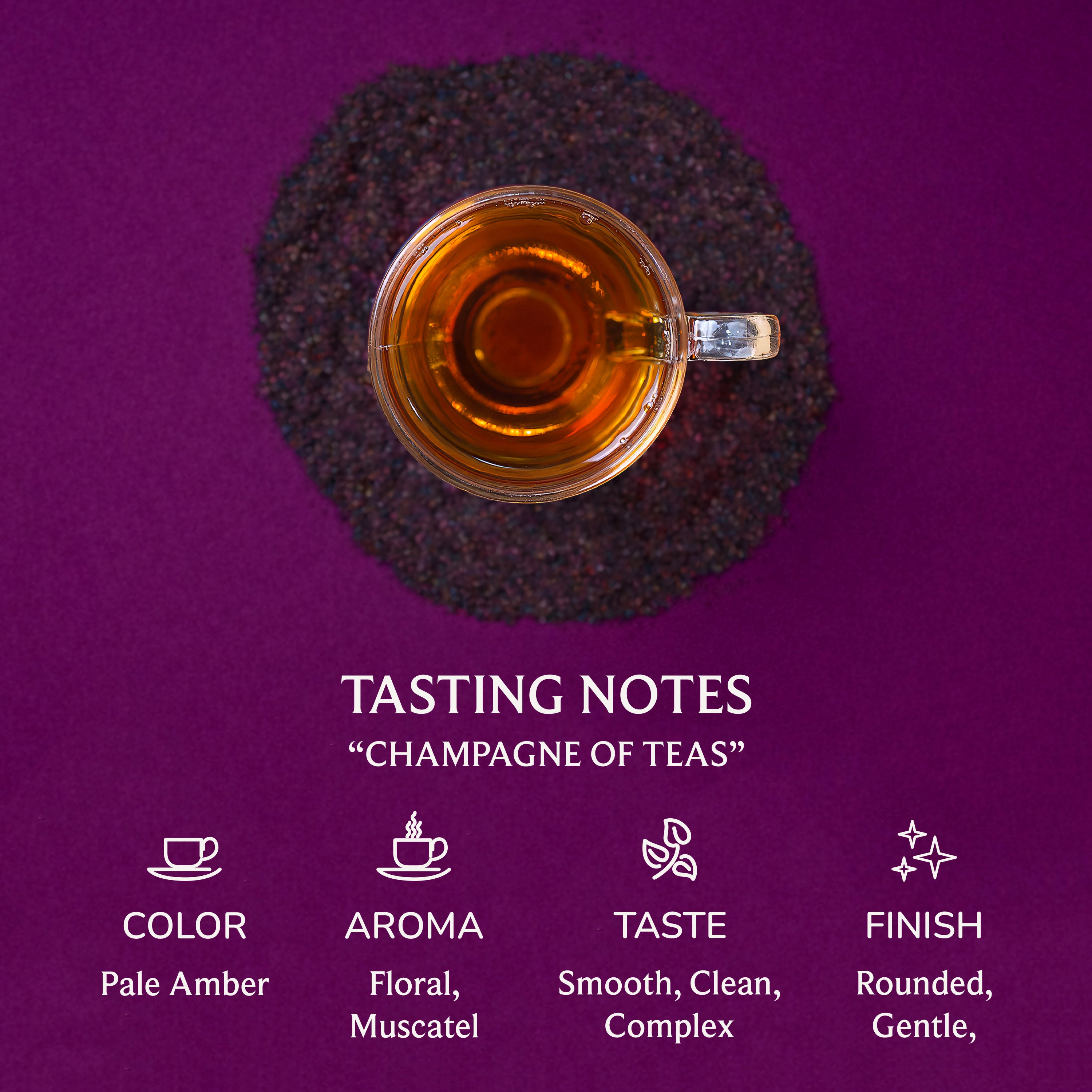Darjeeling 120 Round Bags | Naturally Smooth, Aromatic Himalayan Elegance