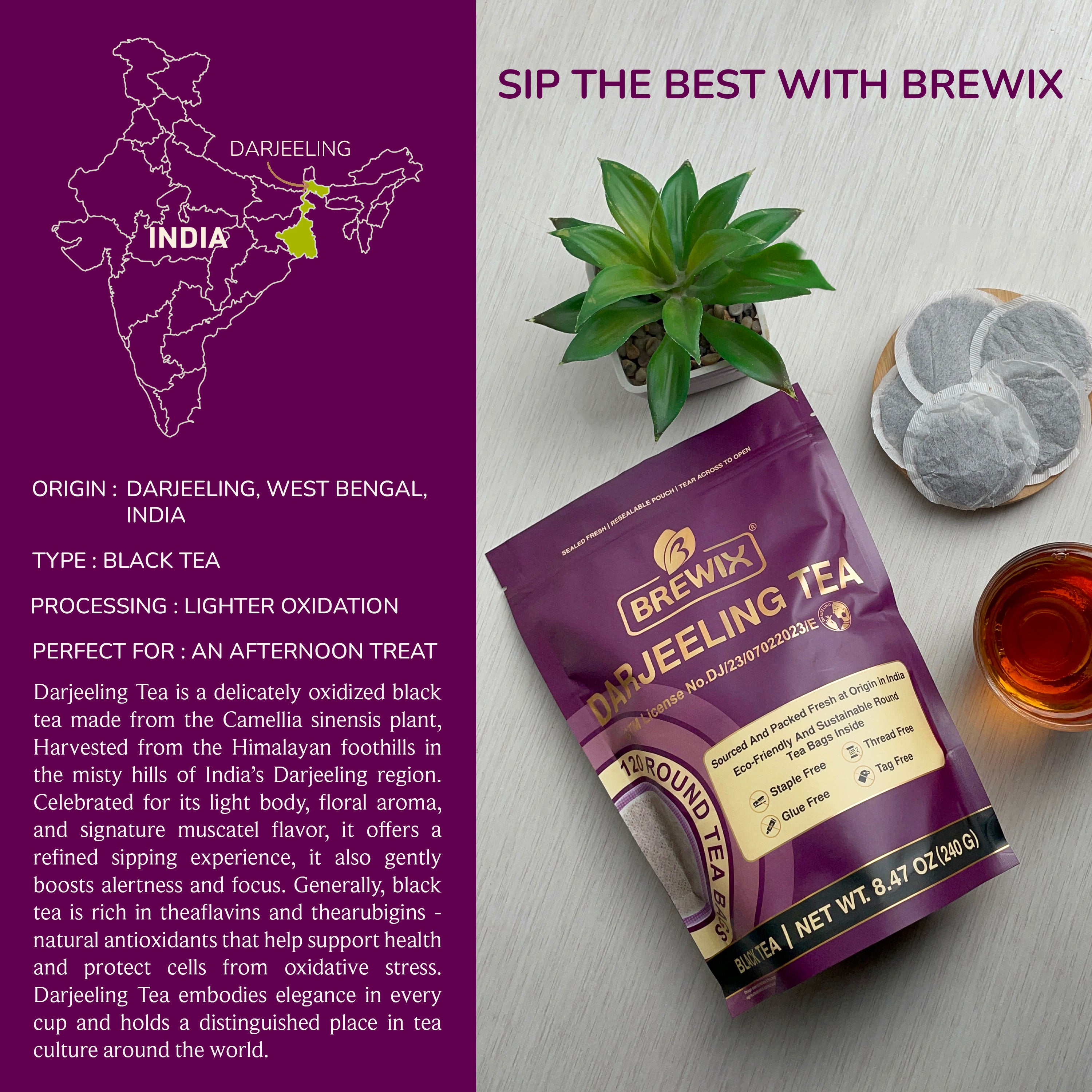 Darjeeling 120 Round Bags | Naturally Smooth, Aromatic Himalayan Elegance