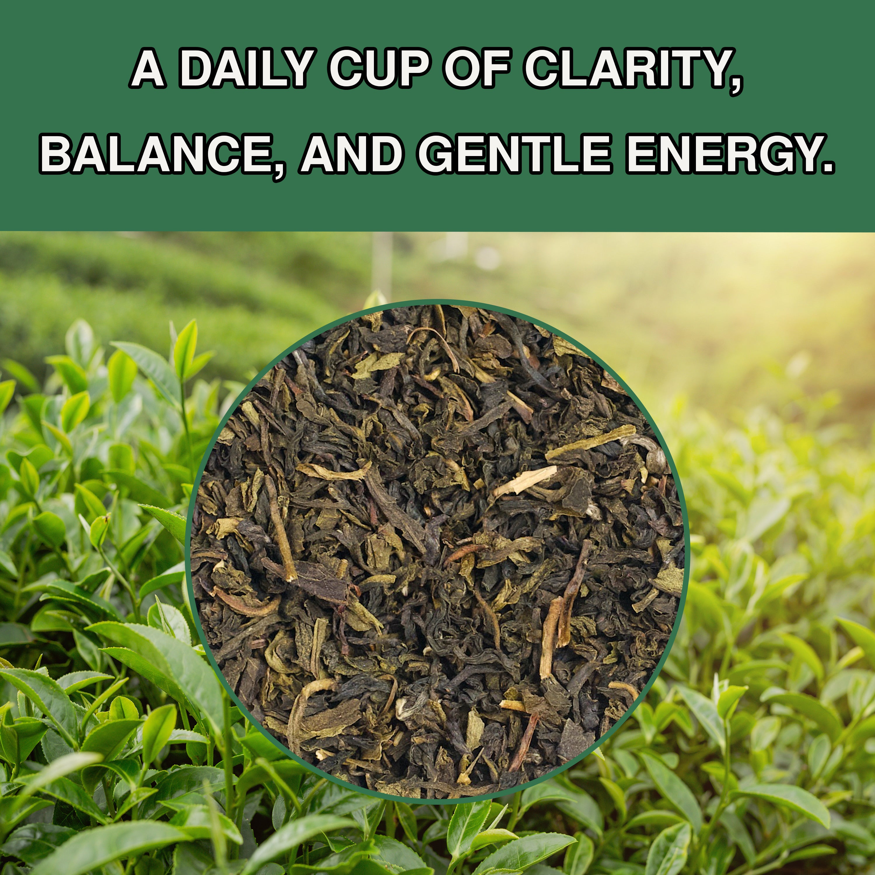Green Tea | Clean Energy in a Cup