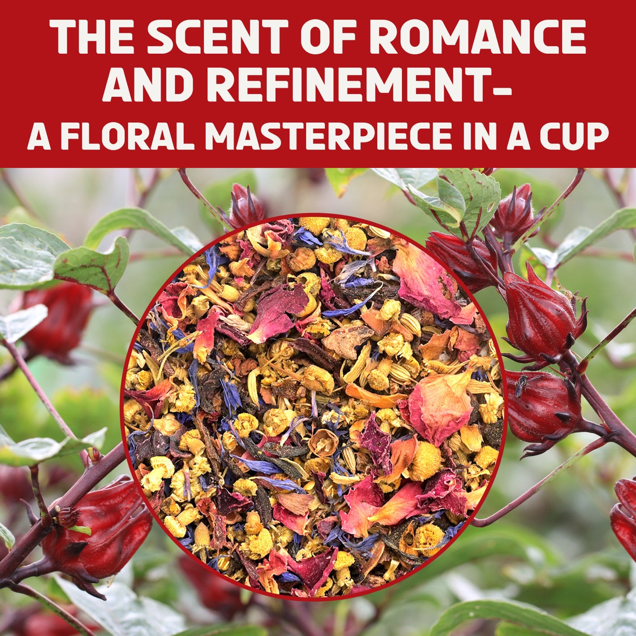 Hibiscus Rose Tea | Floral. Tart. Fabulous.