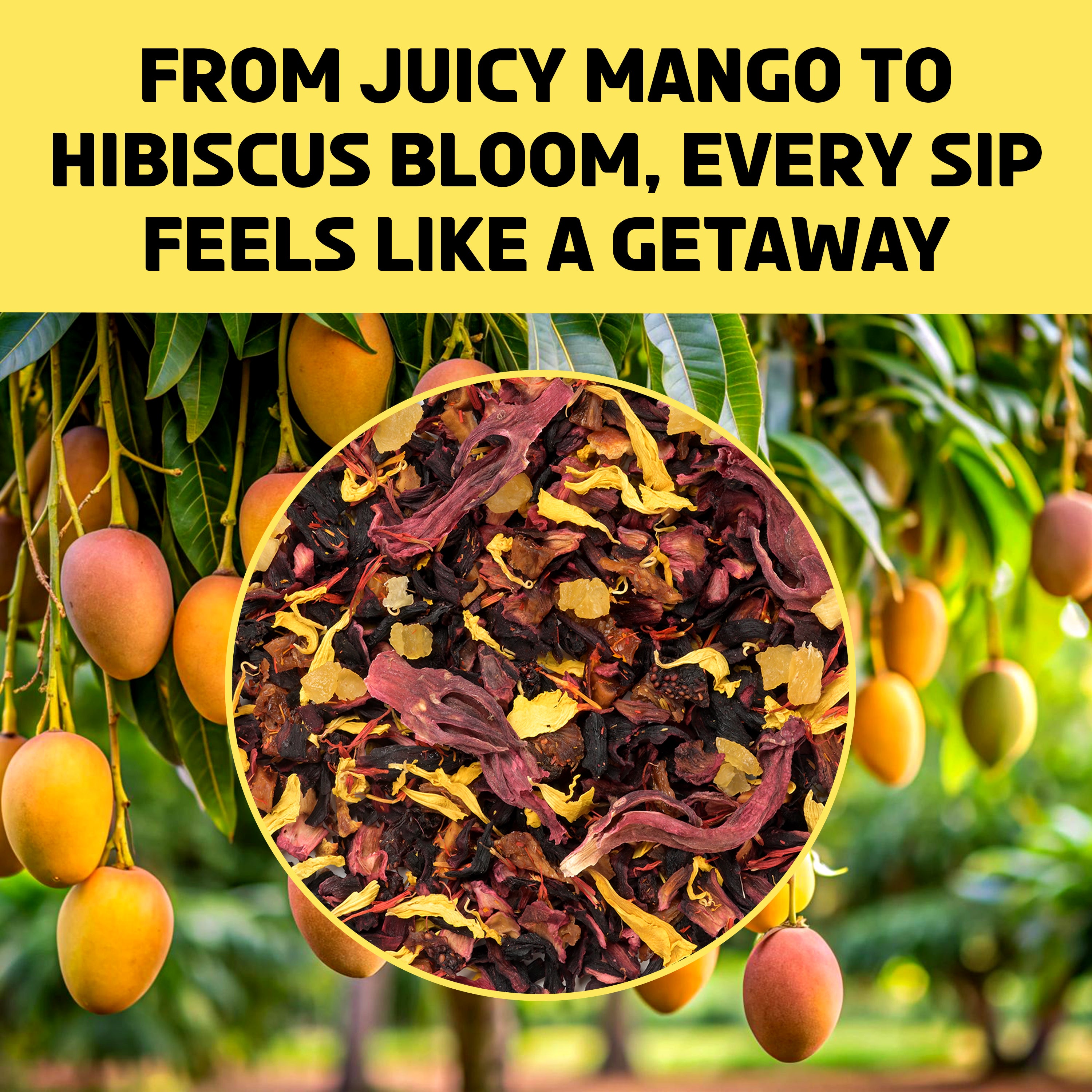 Mango Marvel Tea | A Hibiscus-based Tropical Escape In Every Sip