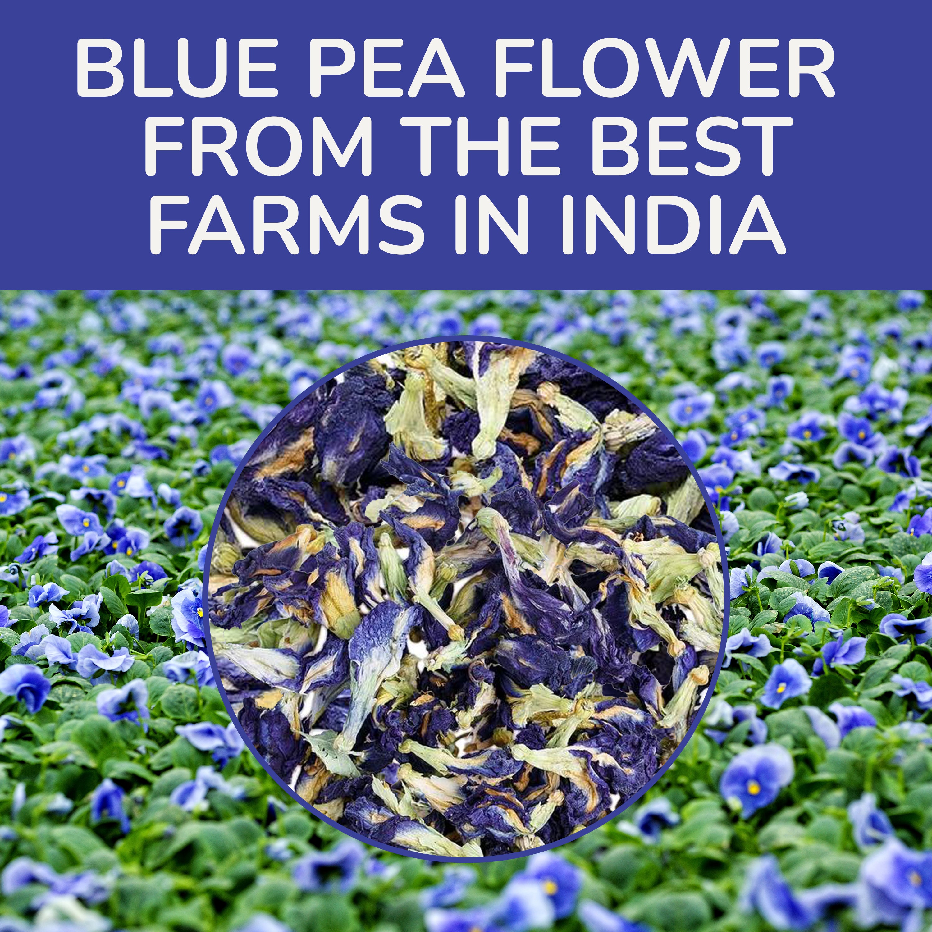 Blue Pea Tea, 1.41 oz Loose Tea