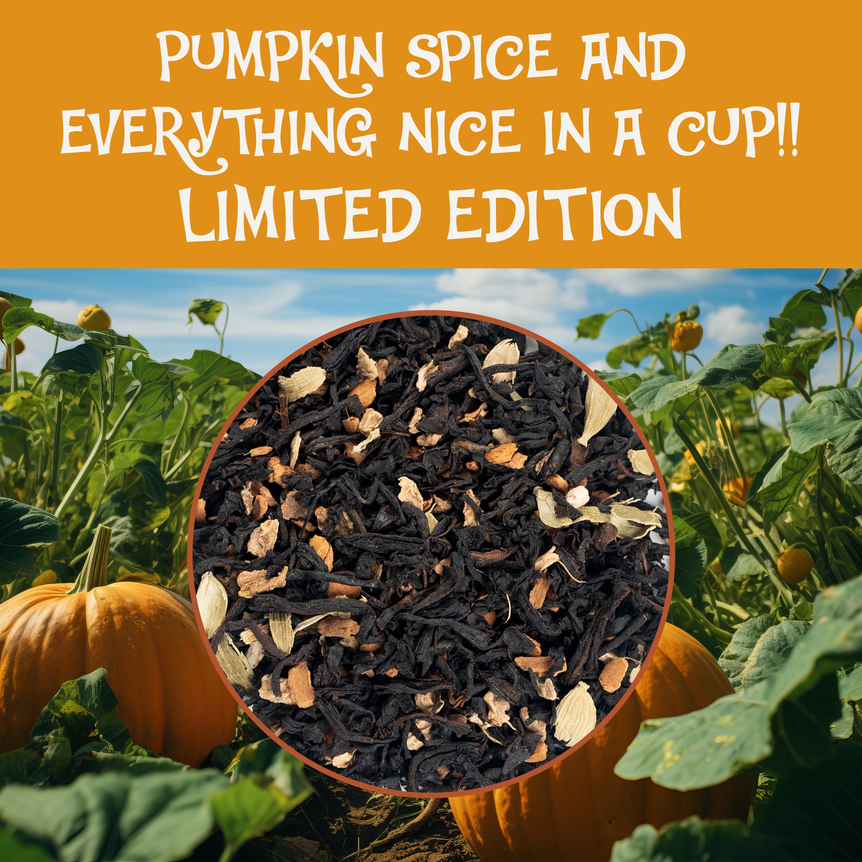 Pumpkin Spice Black Tea, 3.53 oz Loose Tea