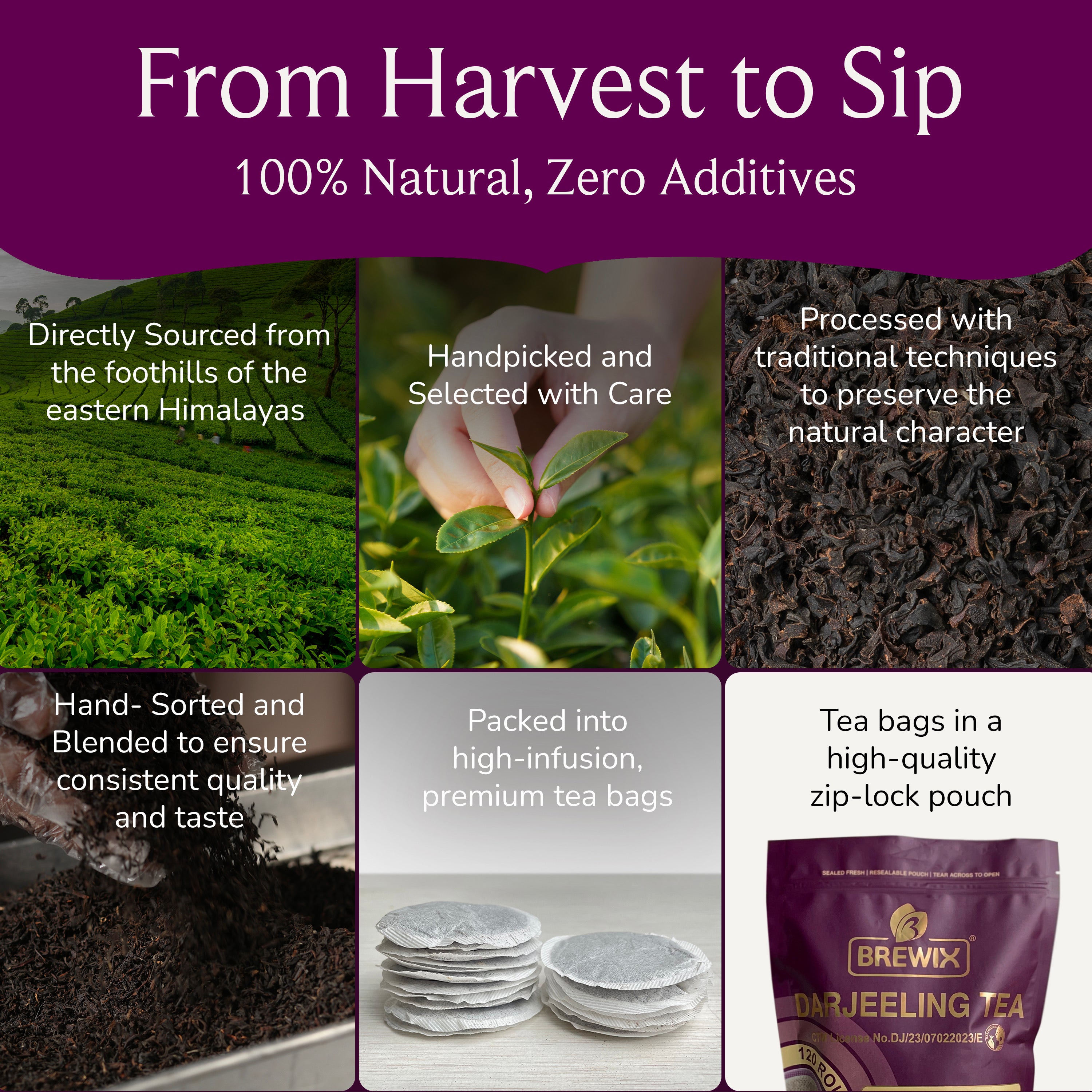 Darjeeling 120 Round Bags | Naturally Smooth, Aromatic Himalayan Elegance