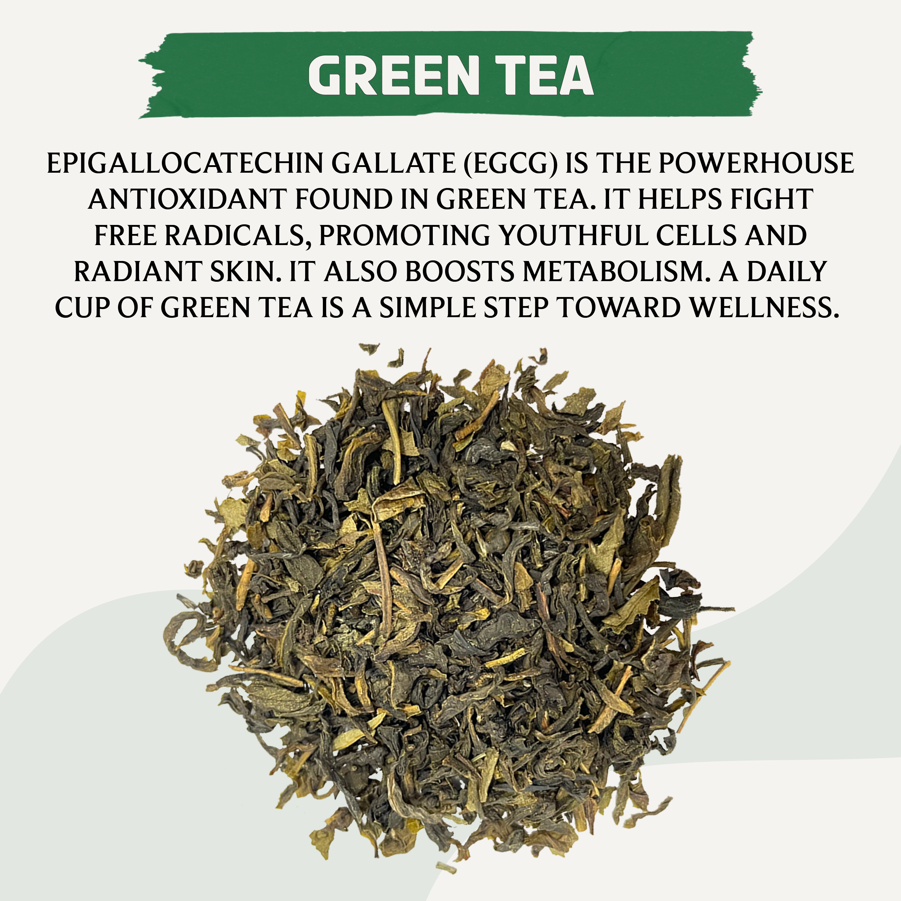 Green Tea | Clean Energy in a Cup