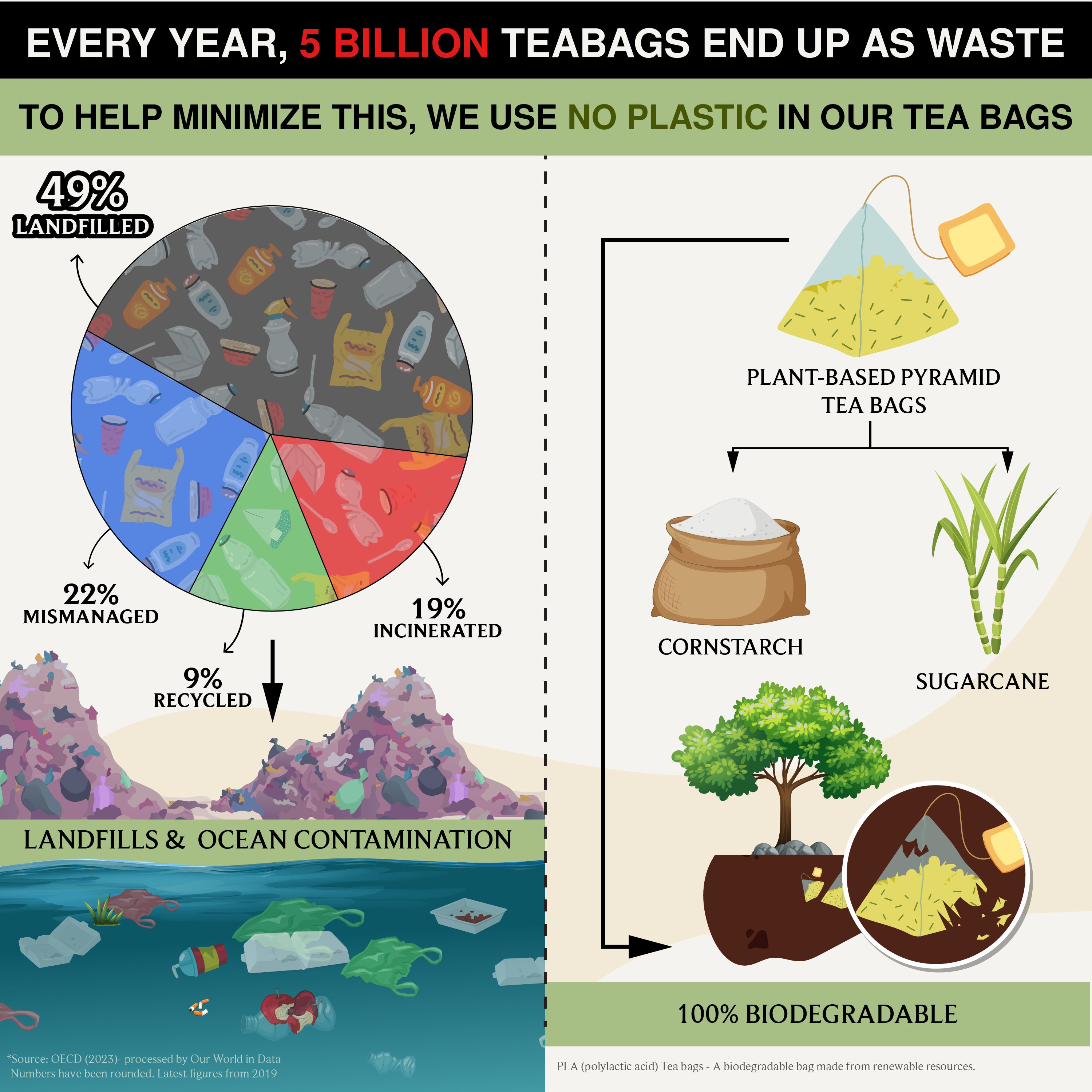 Jasmine Green | Delicate, Fragrant & Elegantly Refreshing