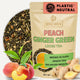 Peach Ginger Green Tea | A Peachy Little Pick-Me-Up