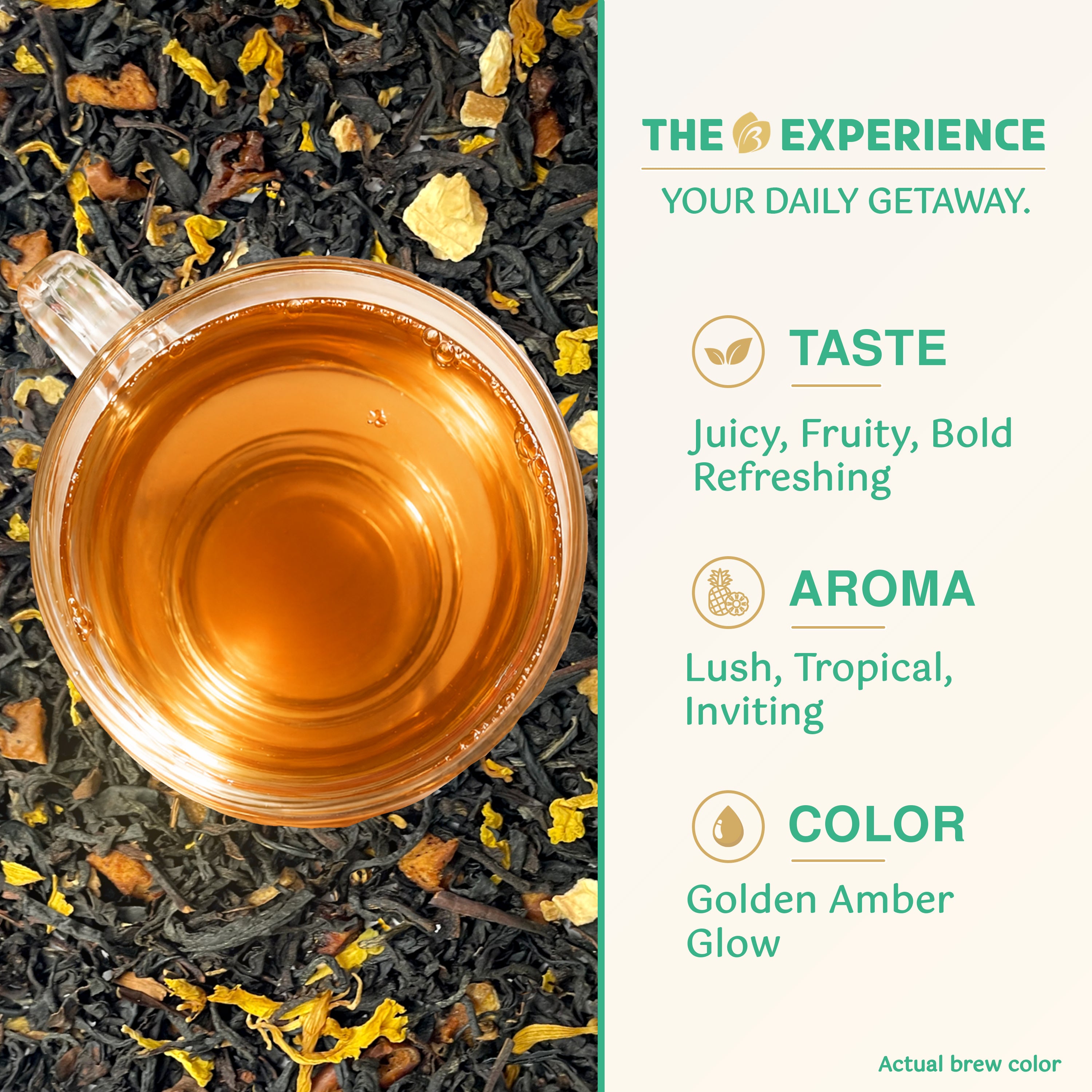 Tropical Delight | Bright. Bold. Delicious.
