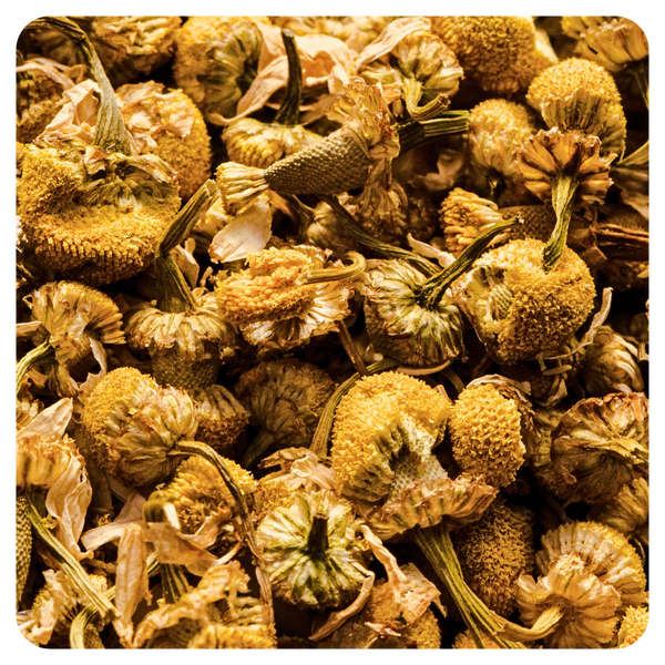 Chamomile