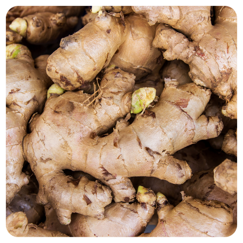 Ginger