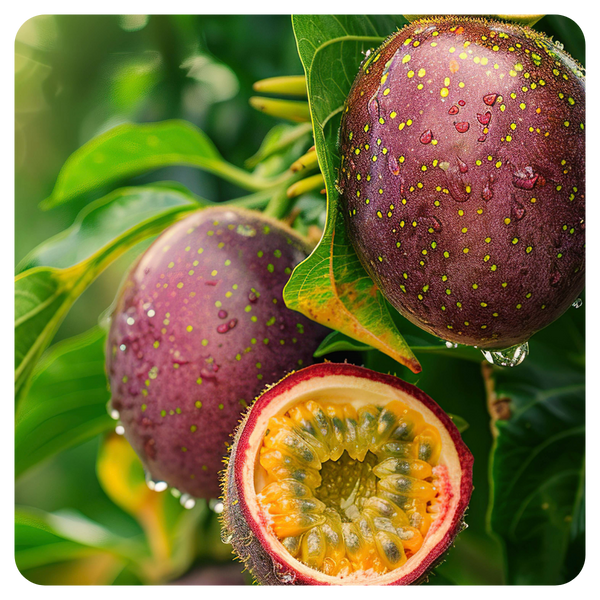 Natural Passion Fruit
